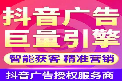 某电商平台的SEM策略与效果展示